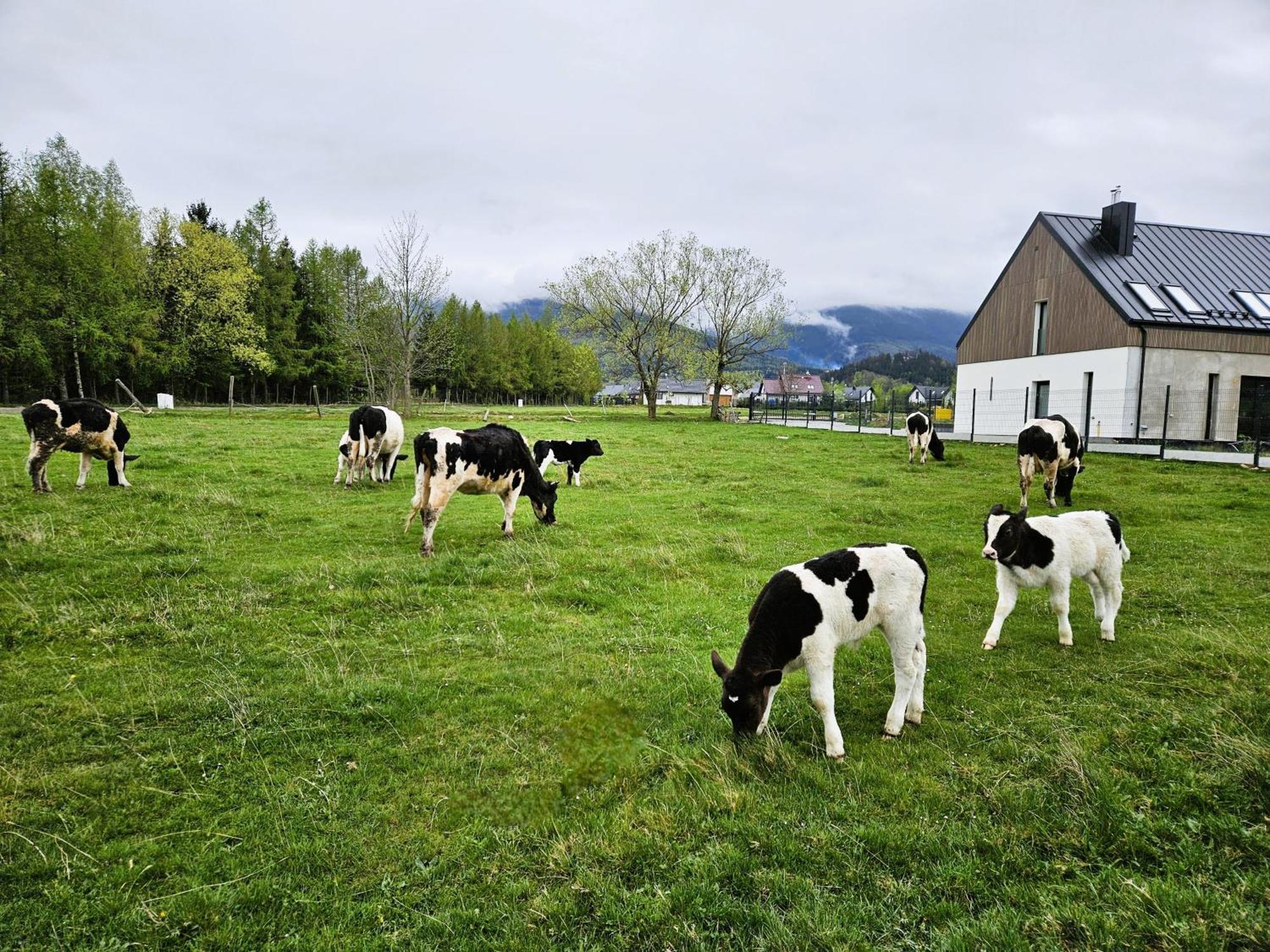 Zacisze W Karkonoszach Villa Karpacz Kültér fotó