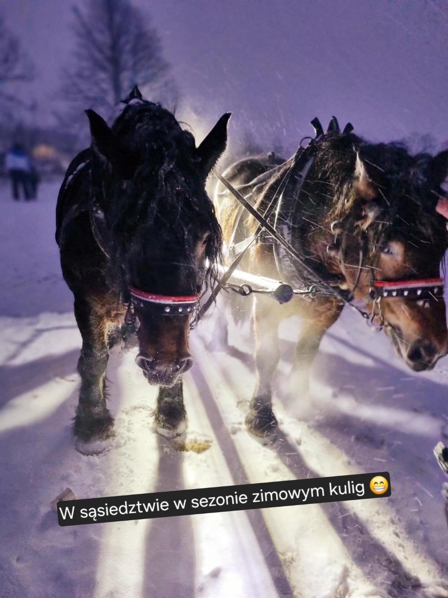 Zacisze W Karkonoszach Villa Karpacz Kültér fotó